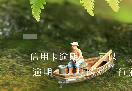 信用卡逾期記錄可以讓銀行消除嗎-信用卡逾期記錄可以讓銀行消除嗎安全嗎