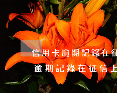 信用卡逾期記錄在征信上保留多久-信用卡逾期記錄在征信上保留多久