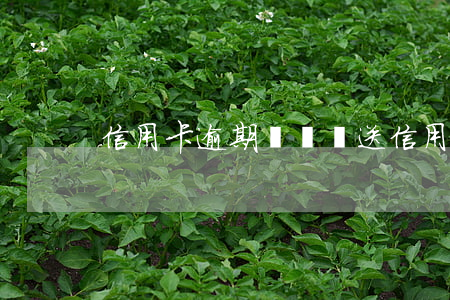 信用卡逾期記錄報送(信用卡逾期記錄報送)