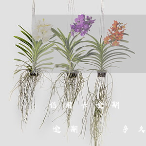 信用卡逾期記錄多久上報(bào)(信用卡逾期記錄多久上報(bào)一次)