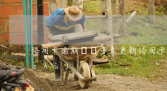 信用卡逾期記錄多久更新(信用卡逾期天數(shù))