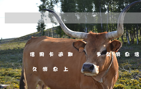 信用卡逾期記錄多久消息(信用卡逾期記錄多久消息上傳)