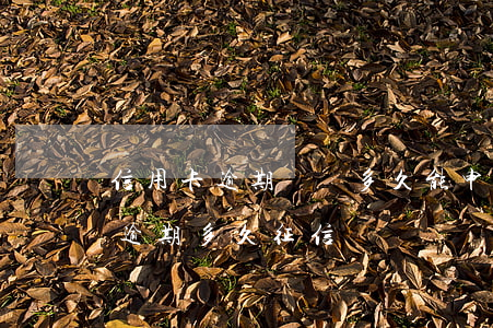 信用卡逾期記錄多久能申請消除嗎-信用卡 逾期多久 征信