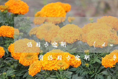 信用卡逾期記錄對(duì)身體有什么影響(有信用卡逾期記錄多久可以消除)