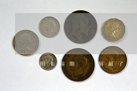 信用卡逾期記錄屏蔽了怎么恢復(fù)