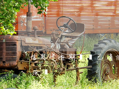 信用卡逾期記錄已消除(信用卡逾期記錄能消除嗎)