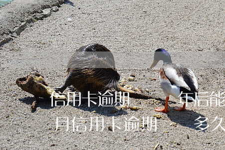 信用卡逾期記錄幾年后能覆蓋(2020年1月信用卡逾期記錄多久后覆蓋)