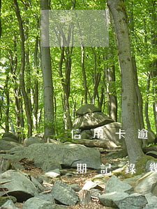 信用卡逾期記錄幾年消除 已還清-信用卡逾期記錄幾年消除 已還清怎么辦