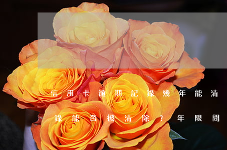 信用卡逾期記錄幾年能清除嗎，信用卡逾期記錄能否被清除？年限問題解析