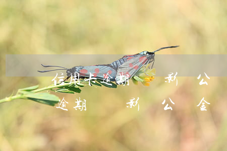 信用卡逾期記錄影響公積金貸款嗎-信用卡逾期記錄影響公積金貸款嗎怎么辦