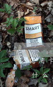 信用卡逾期記錄影響出境游嗎(逾期出境會有什么后果)