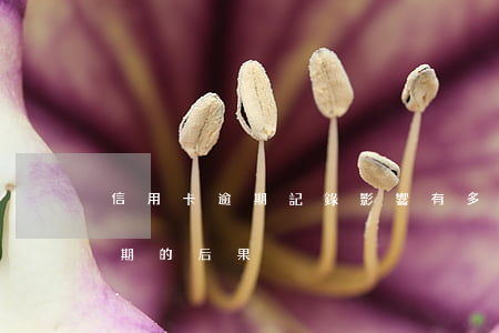 信用卡逾期記錄影響有多大(10張信用卡逾期的后果)
