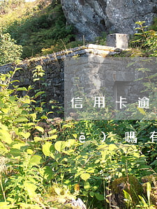 信用卡逾期記錄影響買(mǎi)車(chē)嗎(有信用卡逾期記錄可以貸款買(mǎi)車(chē)嗎)