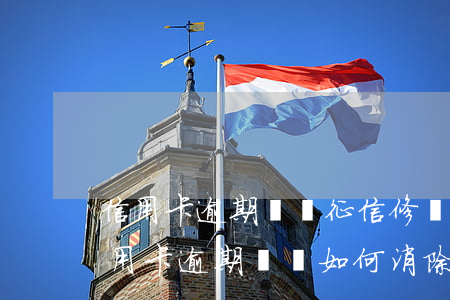 信用卡逾期記錄征信修復(fù)(征信中信用卡逾期記錄如何消除)