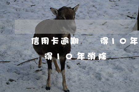 信用卡逾期記錄得10年消除(信用卡逾期記錄得10年消除)