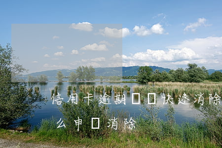 信用卡逾期記錄快速消除(信用卡逾期記錄怎么申請消除)