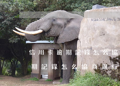 信用卡逾期記錄怎么協商銀行消除(信用卡逾期記錄怎么協商銀行消除)