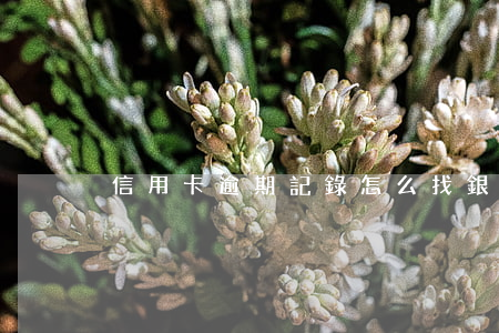 信用卡逾期記錄怎么找銀行消除