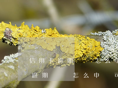信用卡逾期記錄怎么申訴可以成功-信用卡逾期記錄怎么申訴可以成功呢