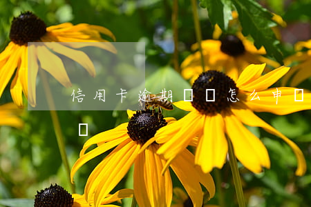 信用卡逾期記錄怎么申訴掉(逾期記錄如何申訴)