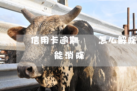 信用卡逾期記錄怎么解除(信用卡逾期后多長時間能消除記錄)