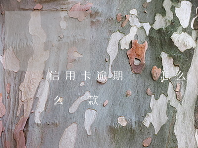 信用卡逾期記錄怎么貸款(信用卡逾期記錄怎么貸款)
