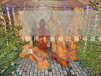 信用卡逾期記錄明細(怎么查信用卡的逾期記錄)