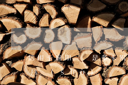 信用卡逾期記錄是多卡累計(貸記卡最長逾期月數(shù))