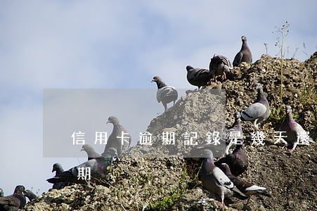 信用卡逾期記錄是幾天(還信用卡過幾天算逾期)