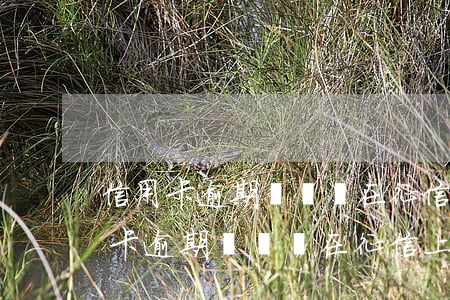 信用卡逾期記錄會在征信上顯示多久-信用卡逾期記錄會在征信上顯示多久的記錄