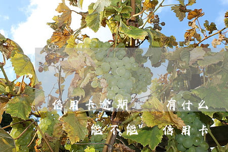 信用卡逾期記錄有什么辦法處理(有一次逾期記錄能不能辦信用卡)