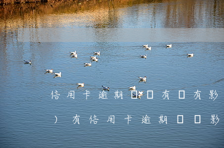 信用卡逾期記錄有沒有影響(曾經(jīng)有信用卡逾期記錄影響房貸嗎)