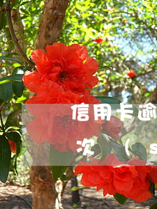 信用卡逾期記錄查詢6-怎么查信用卡逾期次數(shù)
