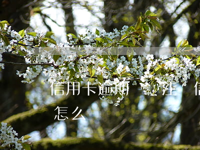 信用卡逾期記錄 注銷(信用卡逾期記錄 注銷了怎么辦)