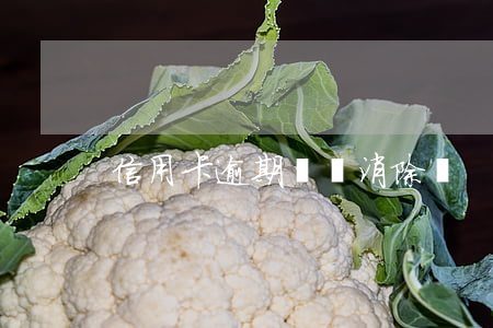 信用卡逾期記錄消除嗎