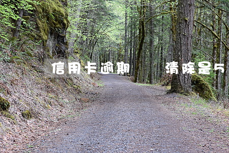 信用卡逾期記錄清除是5年還是7年