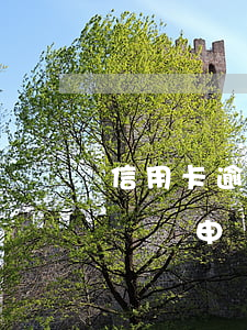 信用卡逾期記錄申訴多久消除-信用卡逾期記錄申訴多久消除