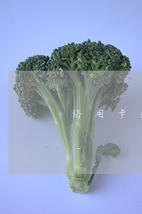 信用卡逾期記錄結(jié)清證明怎么開-