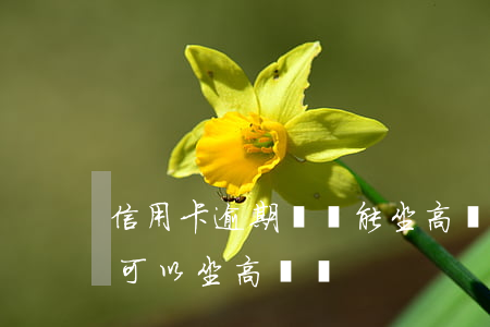 信用卡逾期記錄能坐高鐵嗎(征信有逾期記錄可以坐高鐵嗎)