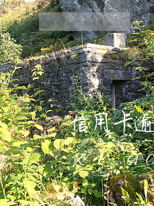 信用卡逾期記錄能清除嗎(信用卡逾期注銷(xiāo)后逾期記錄能消除嗎?)