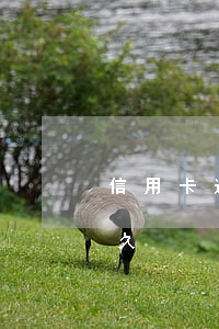 信用卡逾期記錄覆蓋(信用卡逾期記錄覆蓋多久)