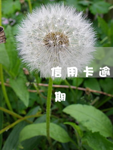 信用卡逾期記錄貸款有影響貸款-信用卡逾期記錄貸款有影響貸款嗎