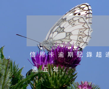 信用卡逾期記錄超過五年(信用卡逾期記錄超過五年)