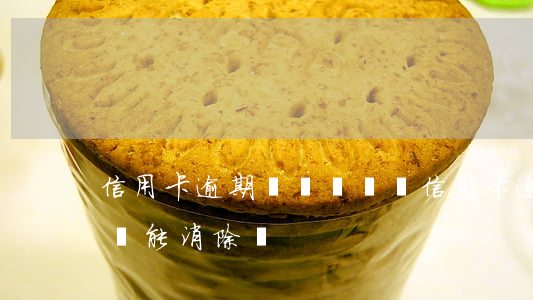 信用卡逾期記錄辦車貸(信用卡逾期記錄辦車貸能消除嗎)