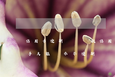 信用卡逾期記錄 還款(信用卡逾期記錄還款后,多久能顯示不逾期)