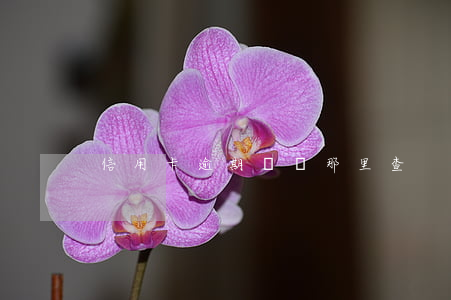 信用卡逾期記錄那里查