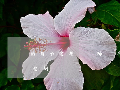 信用卡逾期記錄降額(有什么辦法消除信用卡逾期記錄)