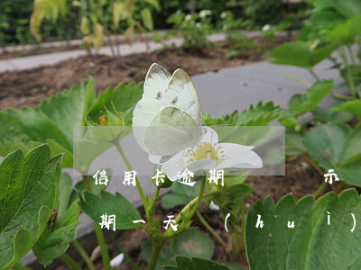 信用卡逾期記錄顯示負(fù)天 信用卡逾期一天會(huì)有不良記錄嗎