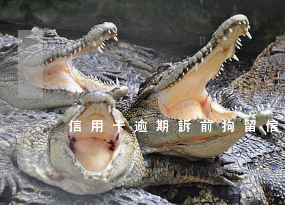 信用卡逾期訴前拘留（信用卡逾期訴前拘留）