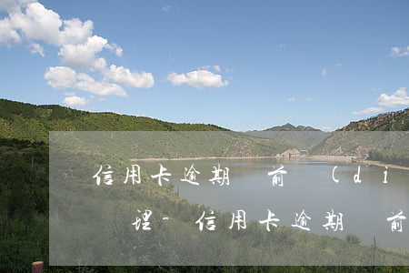 信用卡逾期訴前調(diào)解有什么人辦理-信用卡逾期訴前調(diào)解有什么人辦理嗎